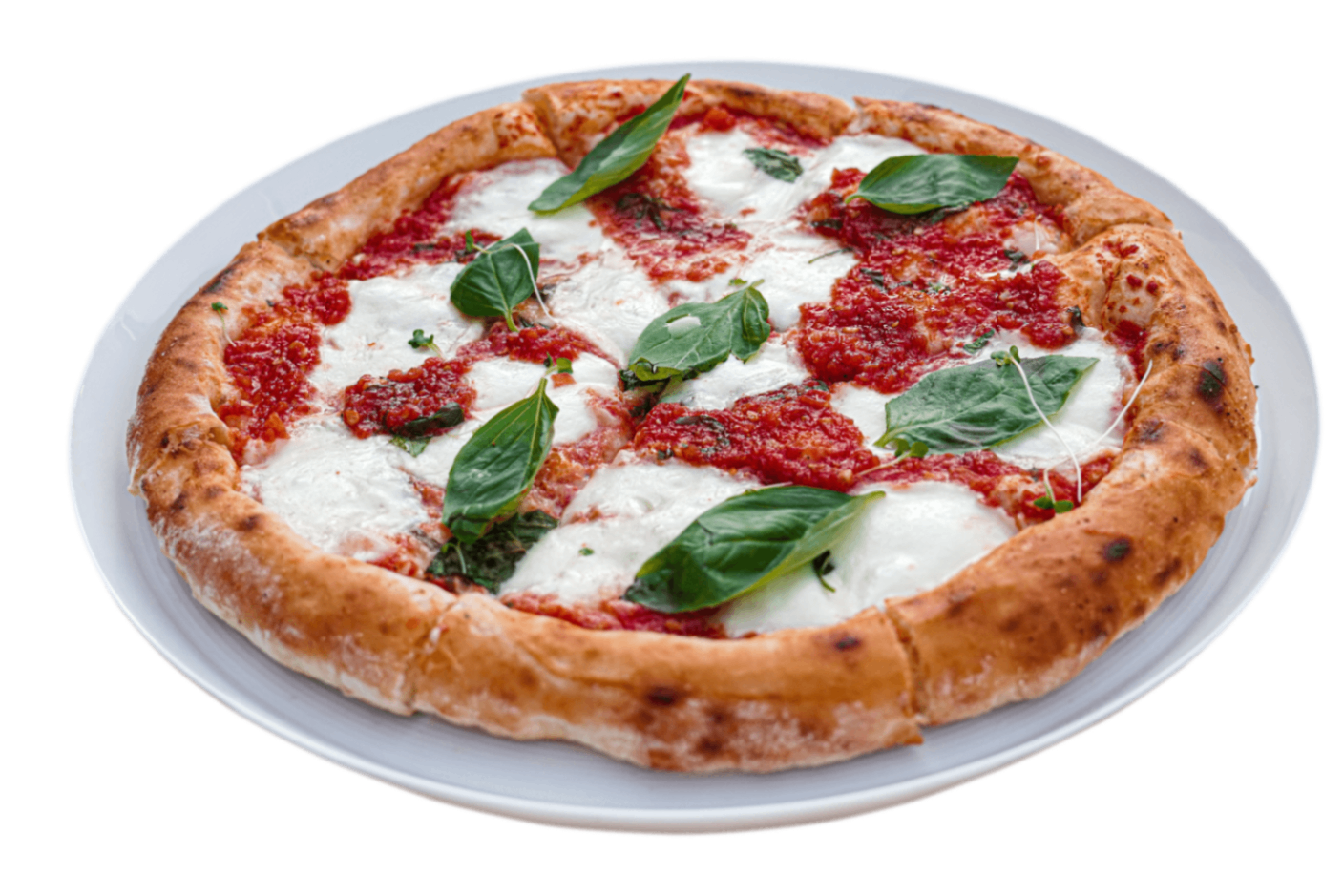 پیتزا مارگاریتا