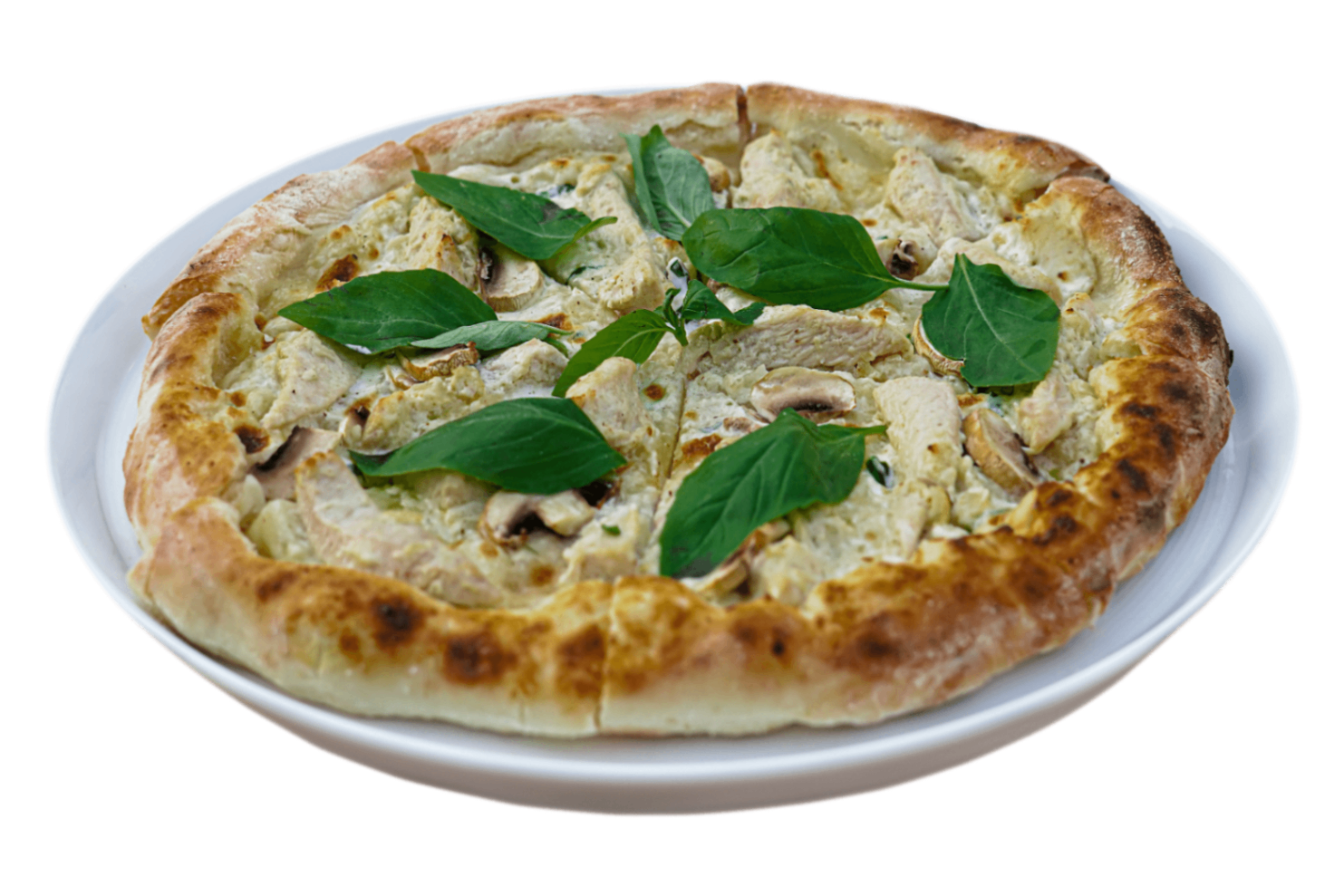 پیتزا مرغ و قارچ