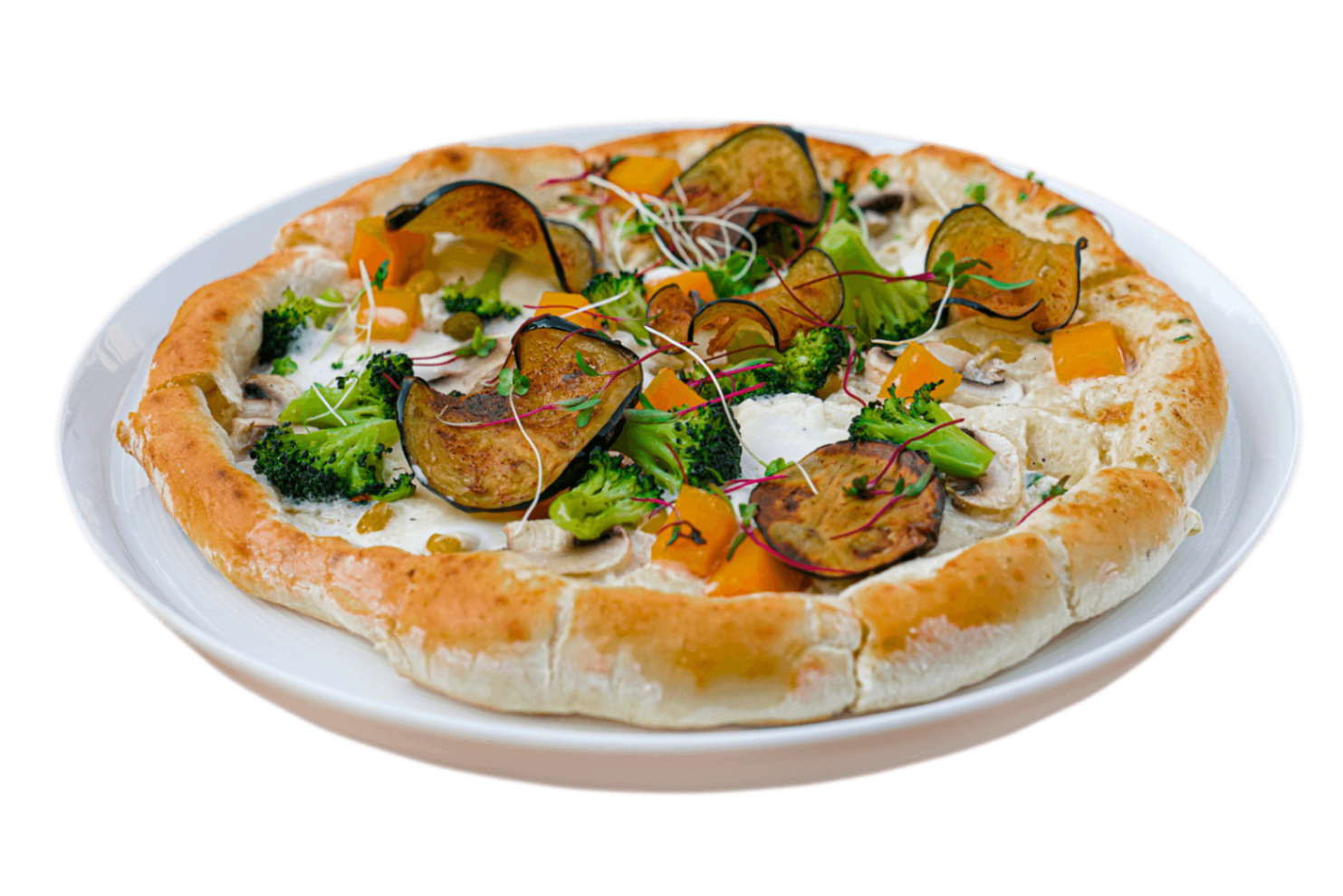 پیتزا سبزیجات