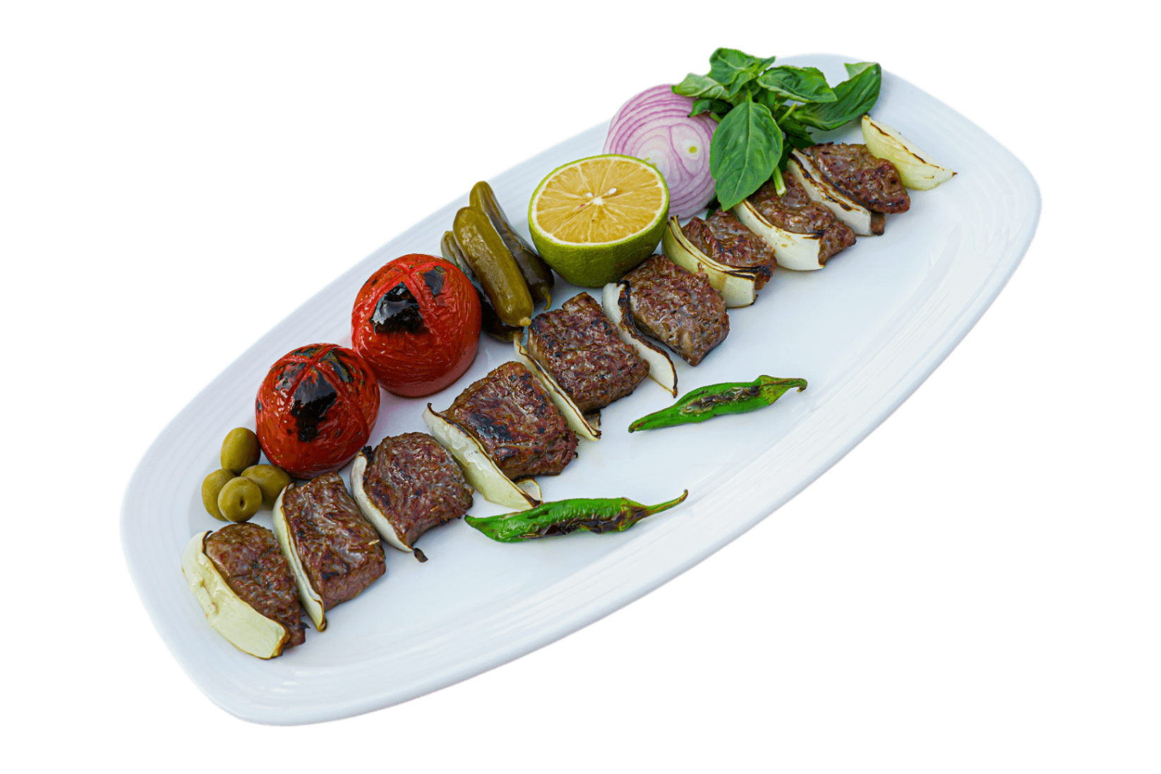 فیله شاندیز